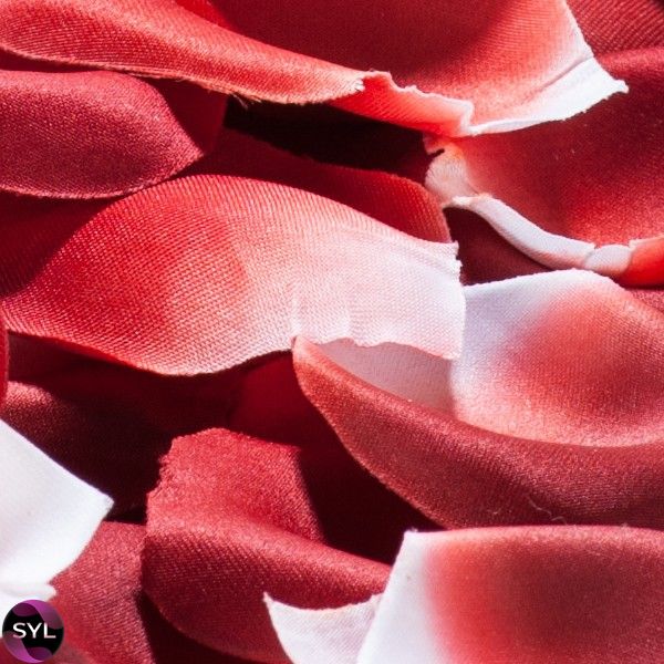 Ароматизированные лепестки роз ROSE PETAL EXPLOSION 100 шт. Bijoux Indiscrets (Испания) B0068 фото