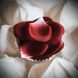 Ароматизированные лепестки роз ROSE PETAL EXPLOSION 100 шт. Bijoux Indiscrets (Испания) B0068 фото 3