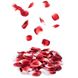 Ароматизированные лепестки роз ROSE PETAL EXPLOSION 100 шт. Bijoux Indiscrets (Испания) B0068 фото 1