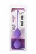 Вагинальные шарики со смещенным центром тяжести DreamToys See You In Bloom фиолетовые DT21229 фото 2