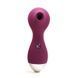 Вакуумный стимулятор KisToy Polly, цвет Purple SO6543 фото