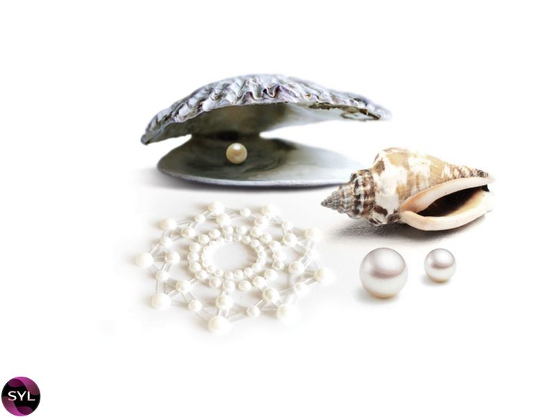 Пэстис из кристаллов Bijoux Indiscrets - Mimi Pearl, украшение на грудь SO2322 фото
