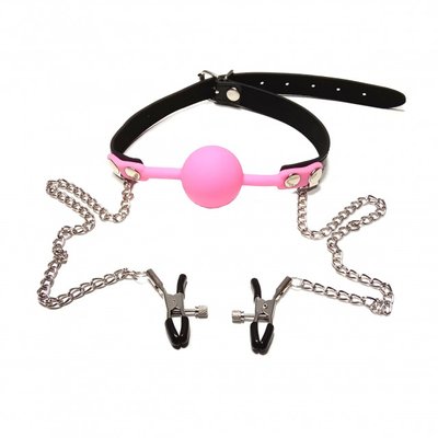 Кляп с зажимами на соски DS Fetish Locking gag with nipple clamps black/pink 221303054 фото
