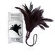 Adrien Lastic Prestige broom