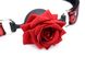 Кляп Master Series Eye-Catching Ball Gag With Rose SO8794 фото 3 Safeyourlove