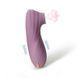 Sweet Em Clitoral Vibrator with Vacuum, Gray-Purple, 11 cm