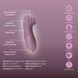 Sweet Em Clitoral Vibrator with Vacuum, Gray-Purple, 11 cm