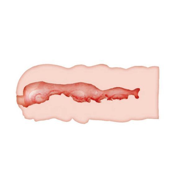 Crazy Bull Isabel vagina masturbator made of cyberskin, light beige