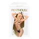 Бодістокінг у велику сітку Penthouse - Body Search Black S/L SO4408 фото 3 Safeyourlove