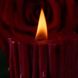 Низкотемпературная восковая свеча «Пылающий шип« UPKO U64095 фото 2