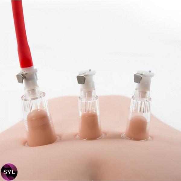 Вакуумная помпа для вагины и сосков BlushTEMPTASIA CLITORIS PLEASURE SYSTEM T330922 фото