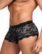 Sexy Black Lace Star Night Briefs for Men, S