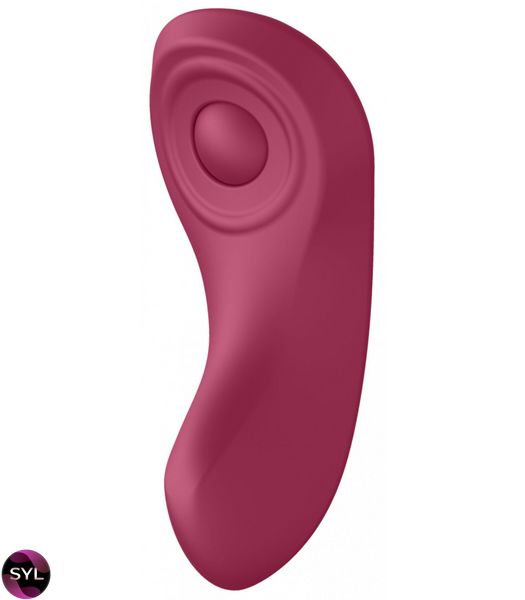 Набор игрушек для пар Satisfyer Partner Box (Double Joy + Sexy Secret) SO7143 фото