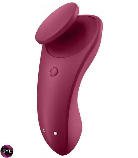 Набор игрушек для пар Satisfyer Partner Box (Double Joy + Sexy Secret) SO7143 фото