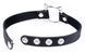 Choker Master Series Kinky Kitty Ring Slim Choker, kolor Black
