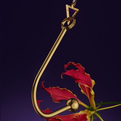 Вагинальный / анальный крюк UPKO Hook золотистый, с шариком на конце и кольцом для фиксации U64057 фото