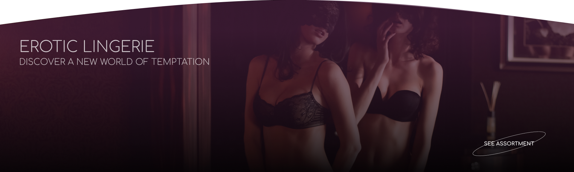 buy erotic lingerie