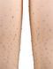 Nude star night fishnet tights with rhinestones XS-L