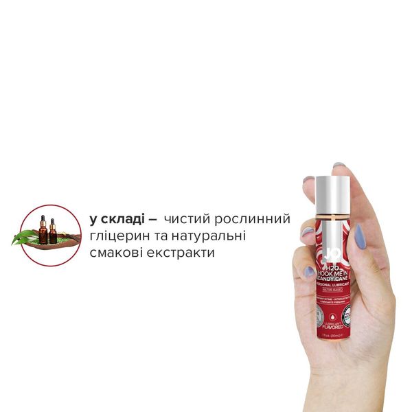 Набор лубрикантов System JO Naughty or Nice Gift Set – Candy Cane & Gingerbread (2×30 мл) SO6163 фото