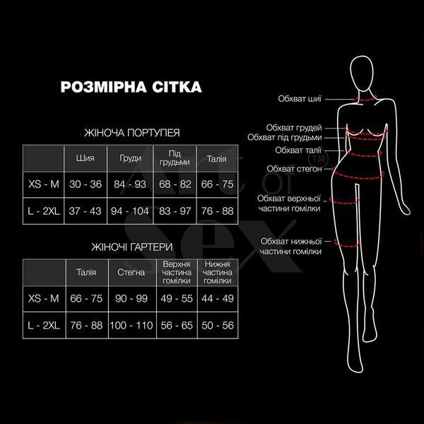 Гартери прикрашені кільцями Art of Sex - Geneva, Натуральна шкіра-M SO9630 SafeYourLove