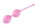 Вагінальні кульки Femintimate Kegel Balls, діаметр 3,5 см, маса 77 г FM40601 фото 1 Safeyourlove