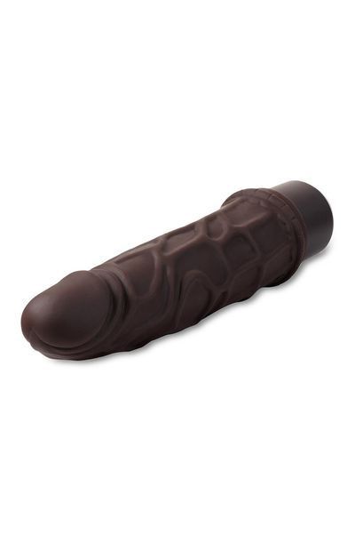 Vibrator realistic Blush Dr. Skin Dr. Robert battery operated, brown