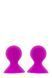 Nipple stimulators LIT-UP NIPPLE SUCKERS LARGE PINK, Pink
