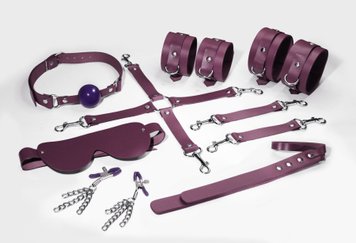 Набір Feral Feelings BDSM Kit 7 Burgundy, наручники, поножі, конектор, маска, падл, кляп, затискачі SO8278 SafeYourLove