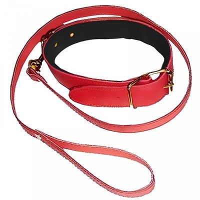 Ошейник с поводком DS Fetish Collar with leash red 262000143 фото
