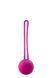 Кулька Кегеля Dream Toys Flirts DT102325 фото 3 Safeyourlove