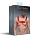 Мужская портупея на грудь Feral Feelings - Bulldog Harness Red Trasparent SO9306 фото 3