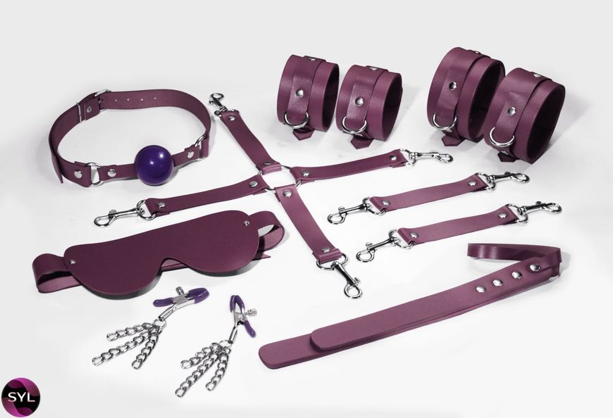 Набір Feral Feelings BDSM Kit 7 Burgundy, наручники, поножі, конектор, маска, падл, кляп, затискачі SO8278 SafeYourLove